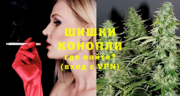 прущие грибы Богородицк