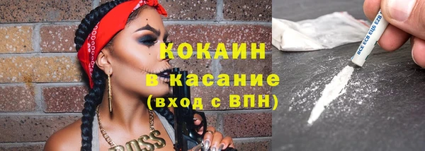 гидра Богородск